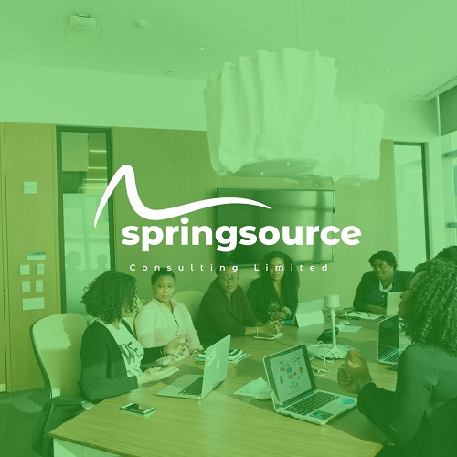 Springsource Consulting Team